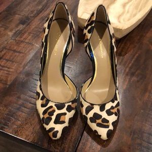 BCBG Leopard Pumps
